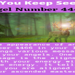 Unlocking the Secrets of 6446 Angel Number: A Complete Guide