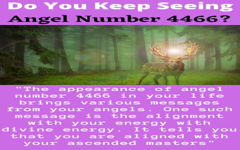 Unlocking the Secrets of 6446 Angel Number: A Complete Guide