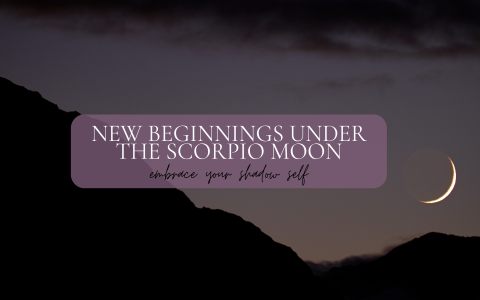 Exploring Scorpio in the 5th House: How It Shapes Your Creative and Romantic Life