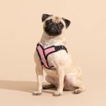 Best Truelove Harness for Puppies and Small Dogs: Premium Comfort