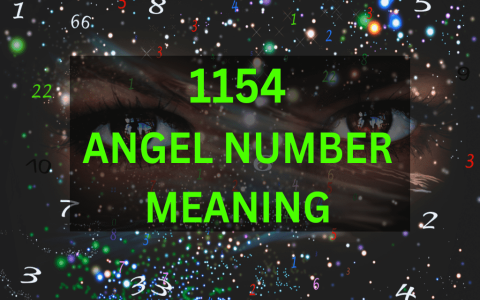 Understanding the Meaning of 1013: A Powerful Message from Your Angels