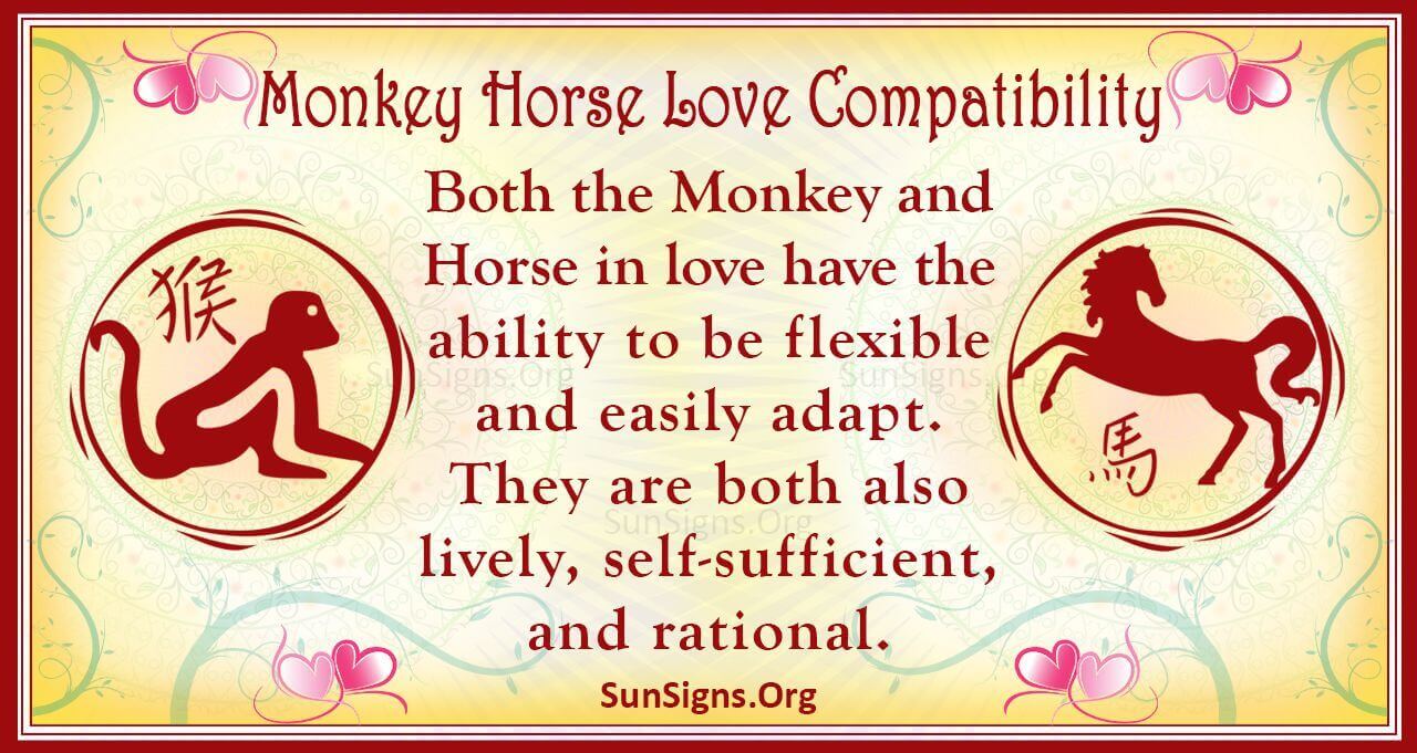 405b8c55eb3b9e051d90a9175383011c Horse Man and Monkey Woman Compatibility: A Detailed Analysis