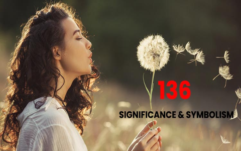 Seeing 136 Angel Number? Heres the Powerful Message from Your Angels