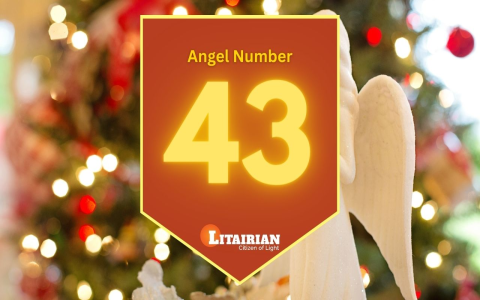 What Is the Meaning of Angel Number 4343? A Sign of Protection and Support