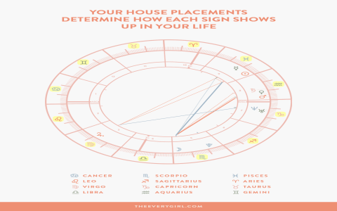 Understanding the Impact of Pisces in the 2nd House on Your Value System