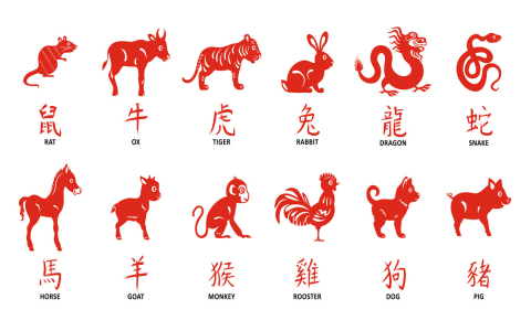 Chinese Monkey Sign vs Aries: Compatibility, Traits, and Strengths Explained