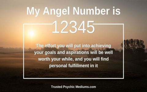 Seeing Angel Number 1115? Unlock Its Message for Personal Growth and Success