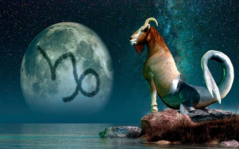 Capricorn Rat Compatibility and Predictions: What the Stars Hold for You