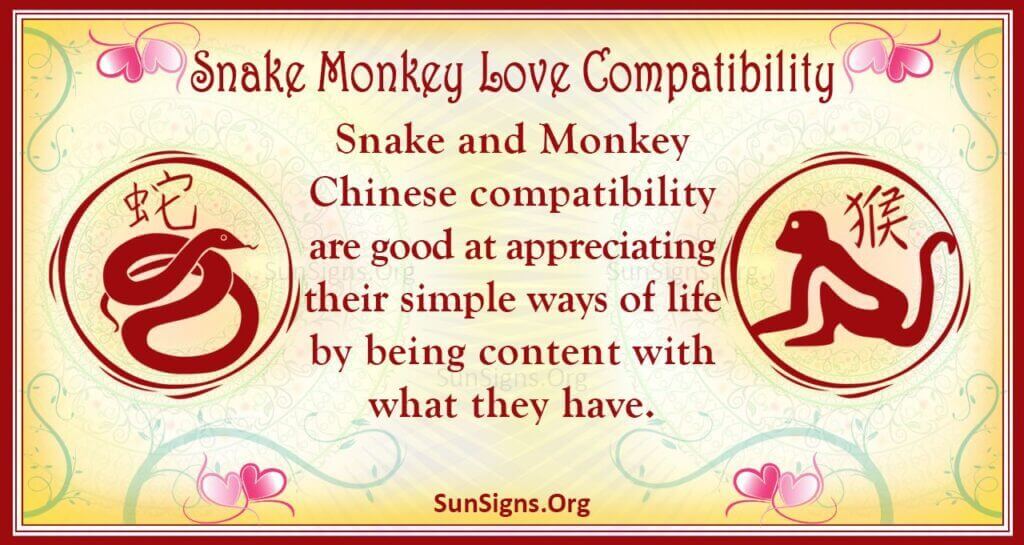 f5ab4b564b53f145f967965b4a4c0200 Snake-Monkey Compatibility: Love, Marriage, and Relationship Analysis