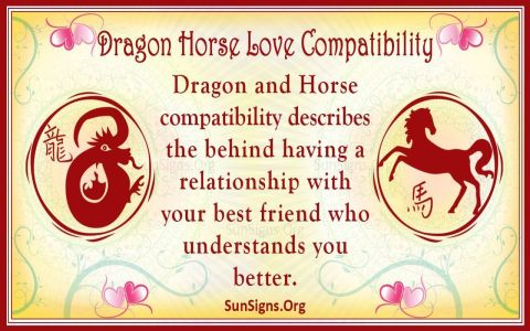 Exploring Horse Man and Snake Woman Compatibility: A Perfect Zodiac Match?